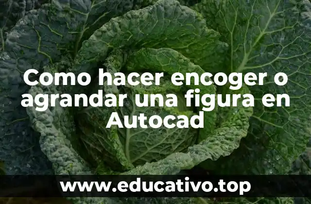 Como hacer encoger o agrandar una figura en Autocad