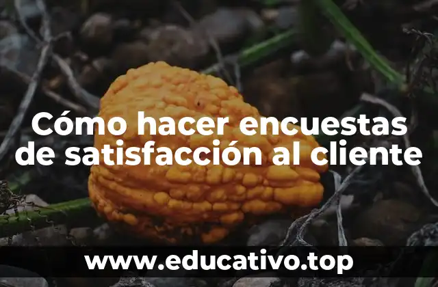 Cómo hacer encuestas de satisfacción al cliente