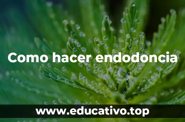 Como hacer endodoncia