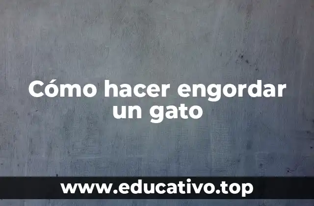 Cómo hacer engordar un gato