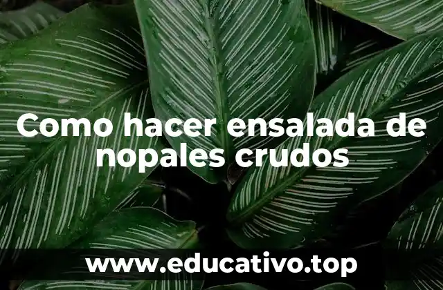 Como hacer ensalada de nopales crudos