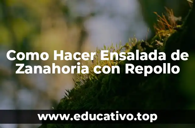 Como Hacer Ensalada de Zanahoria con Repollo