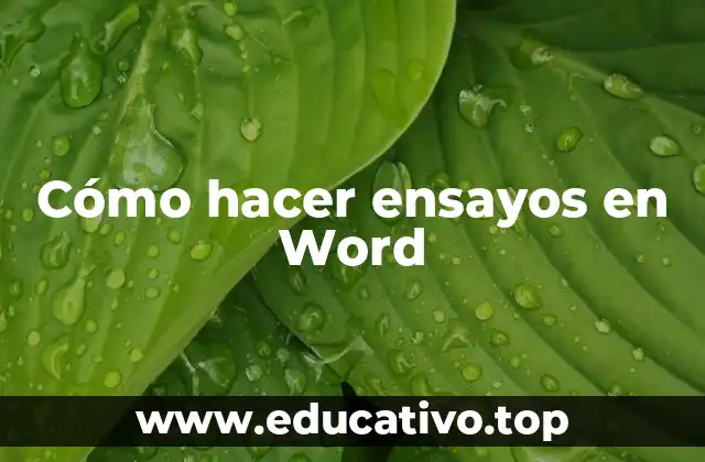 Cómo hacer ensayos en Word
