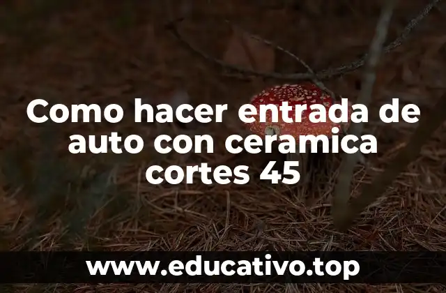 Como hacer entrada de auto con ceramica cortes 45