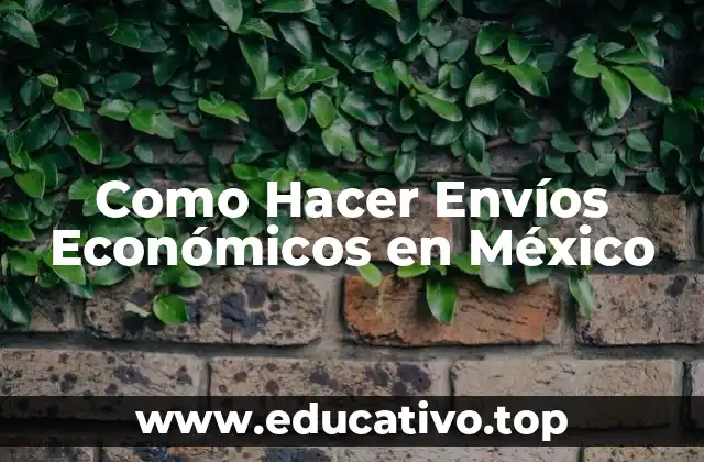 Como Hacer Envíos Económicos en México