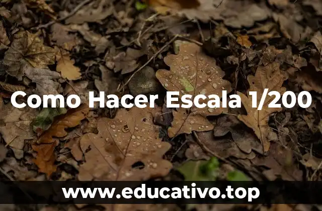 Como Hacer Escala 1/200