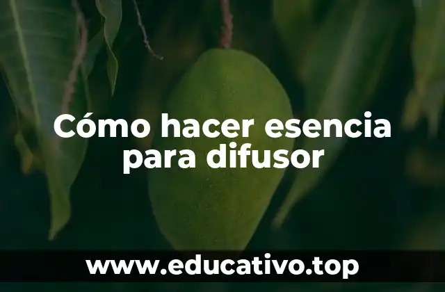 Cómo hacer esencia para difusor