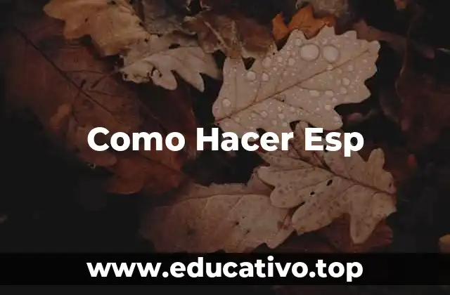 Como Hacer Esp