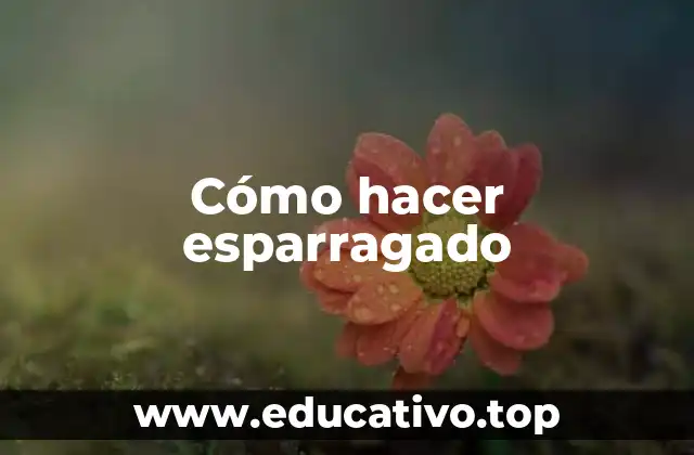 Cómo hacer esparragado