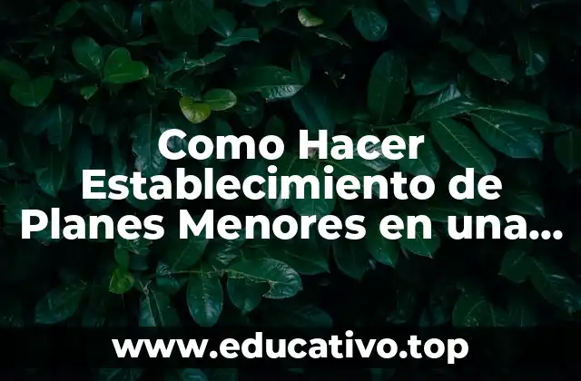 Como Hacer Establecimiento de Planes Menores en una Planificación