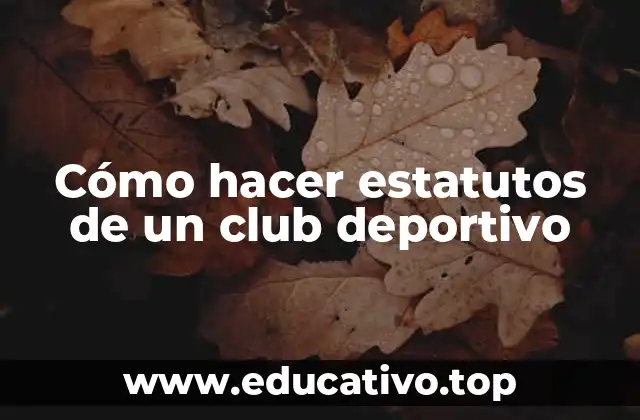 Cómo hacer estatutos de un club deportivo
