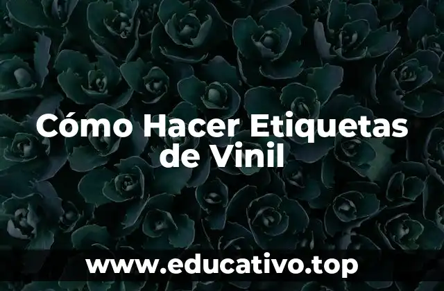 Cómo Hacer Etiquetas de Vinil