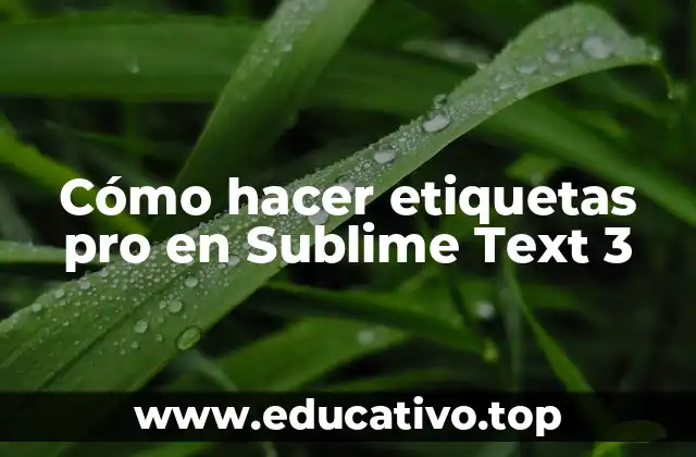 Cómo hacer etiquetas pro en Sublime Text 3