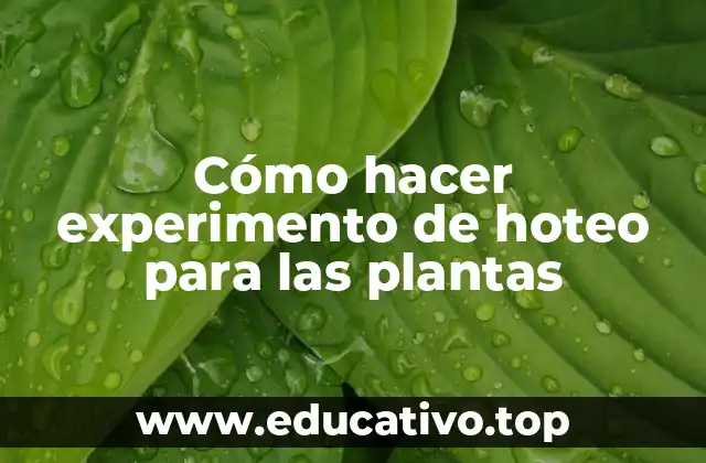 Cómo hacer experimento de hoteo para las plantas