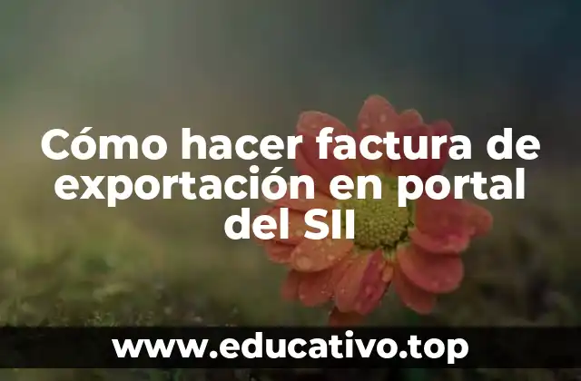 Cómo hacer factura de exportación en portal del SII
