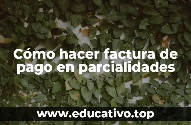 Cómo hacer factura de pago en parcialidades