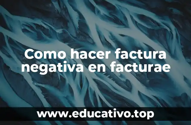 Como hacer factura negativa en facturae