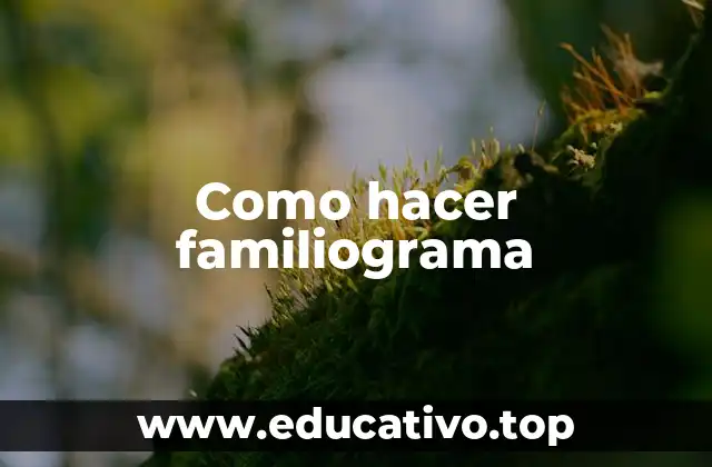 Como hacer familiograma