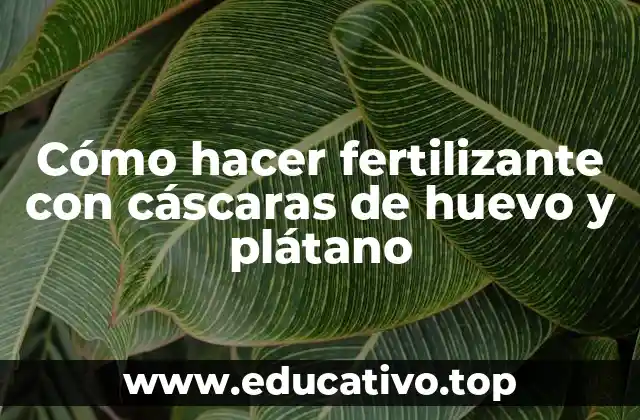 Cómo hacer fertilizante con cáscaras de huevo y plátano