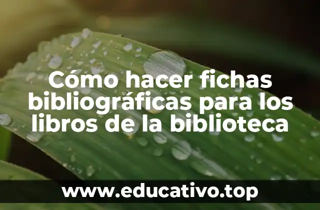Cómo hacer fichas bibliográficas para los libros de la biblioteca