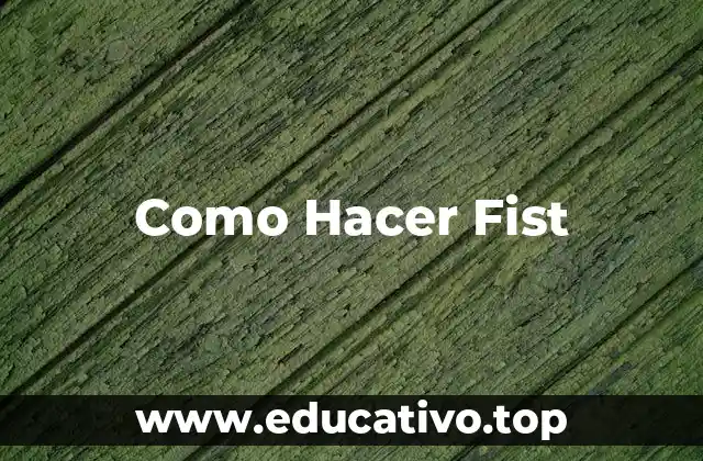 Como Hacer Fist