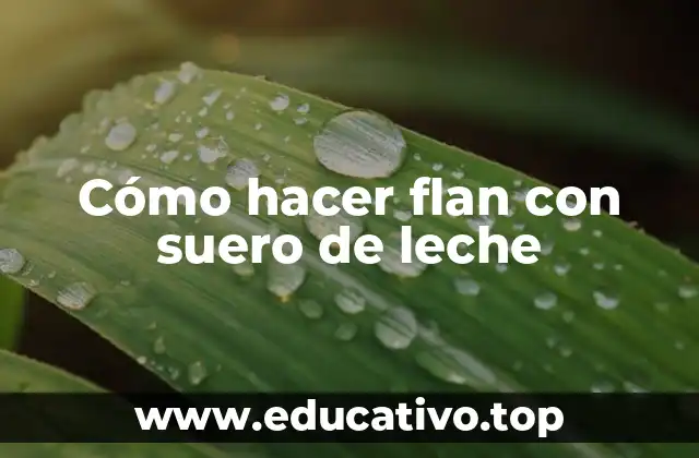 Cómo hacer flan con suero de leche