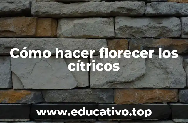 Cómo hacer florecer los cítricos