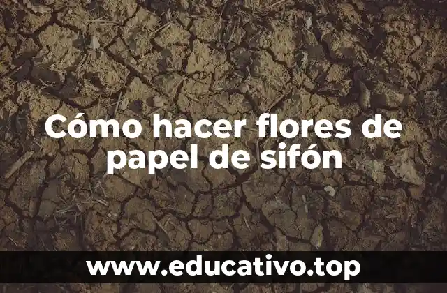 Cómo hacer flores de papel de sifón