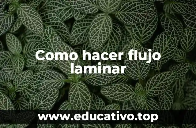 Como hacer flujo laminar