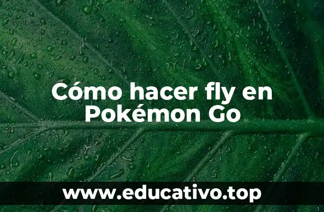Cómo hacer fly en Pokémon Go