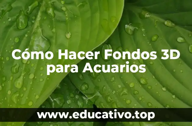 Cómo Hacer Fondos 3D para Acuarios