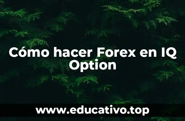 Cómo hacer Forex en IQ Option