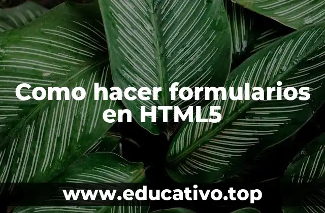 Como hacer formularios en HTML5
