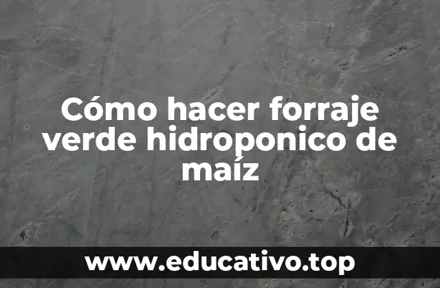 Cómo hacer forraje verde hidroponico de maíz