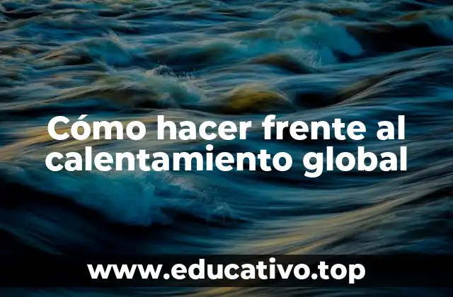 Cómo hacer frente al calentamiento global