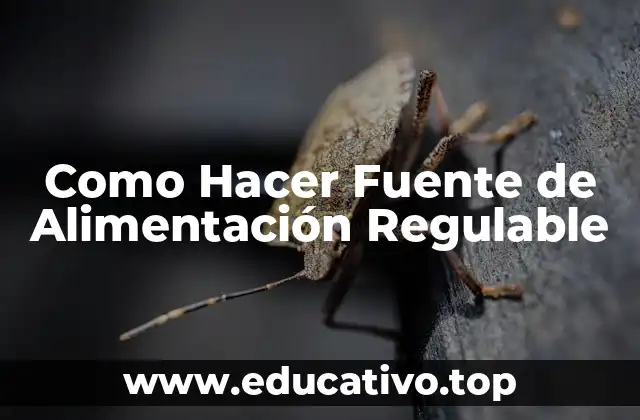 Como Hacer Fuente de Alimentación Regulable