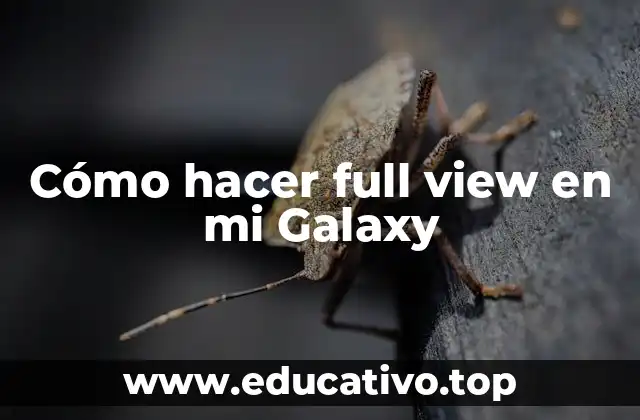 Cómo hacer full view en mi Galaxy