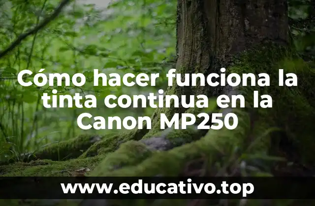 Cómo hacer funciona la tinta continua en la Canon MP250