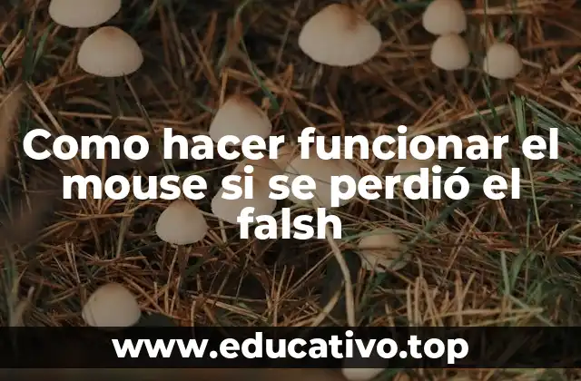 Como hacer funcionar el mouse si se perdió el falsh