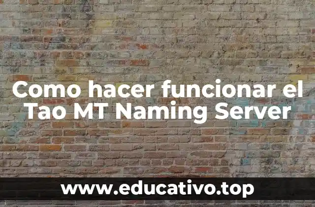 Como hacer funcionar el Tao MT Naming Server