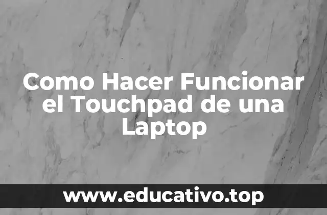 Como Hacer Funcionar el Touchpad de una Laptop