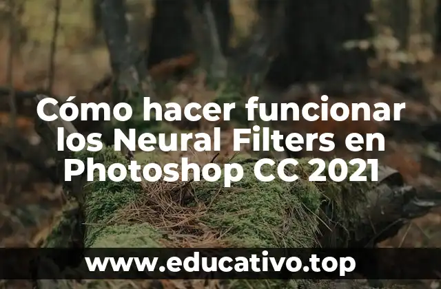 Cómo hacer funcionar los Neural Filters en Photoshop CC 2021