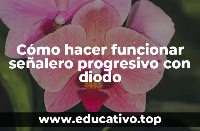Cómo hacer funcionar señalero progresivo con diodo