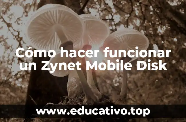 Cómo hacer funcionar un Zynet Mobile Disk