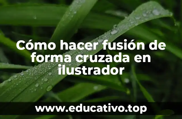 Cómo hacer fusión de forma cruzada en ilustrador