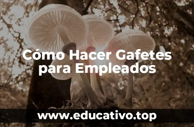 Cómo Hacer Gafetes para Empleados