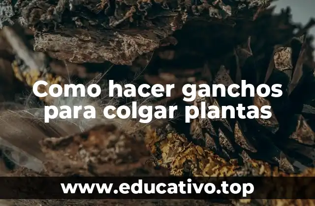 Como hacer ganchos para colgar plantas