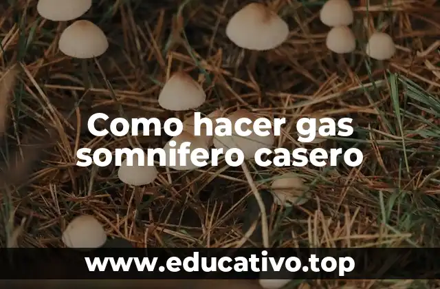 Como hacer gas somnifero casero