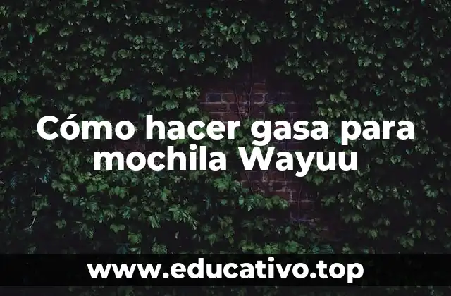 Cómo hacer gasa para mochila Wayuu