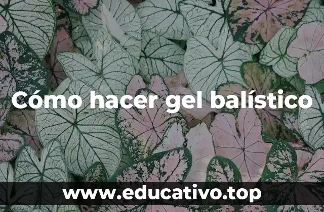 Cómo hacer gel balístico